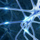 Neurons - VideoHive Item for Sale