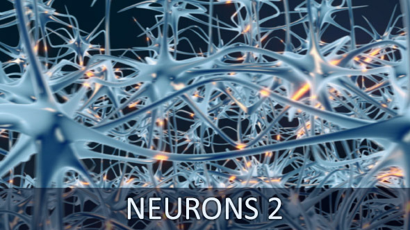Neurons 2