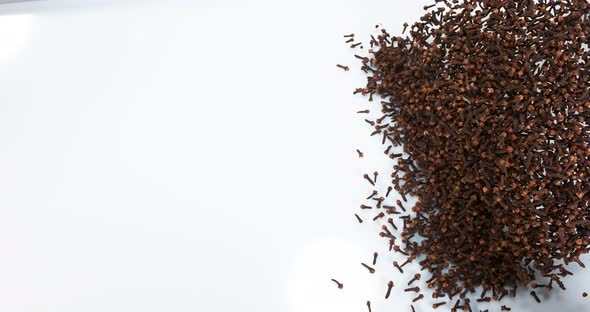 Clove, eugenia caryophyllata Falling against White Background, slow motion 4K alt