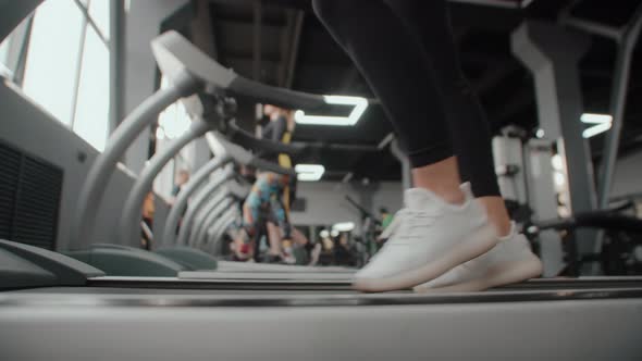 Womens Legs in Sports Uniforms and Sneakers are Engaged Jogging in Gym on Treadmill Closeup alt