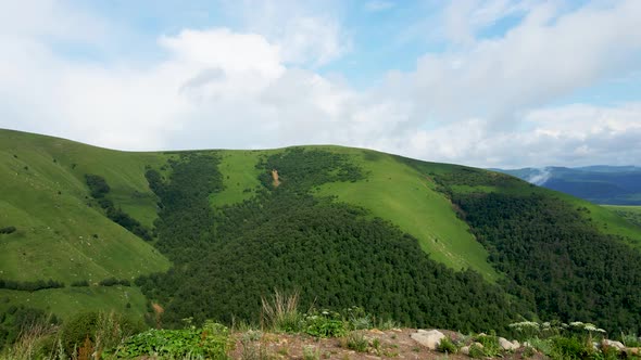 View of the Green Caucasus Mountains in Summer From the Sky alt