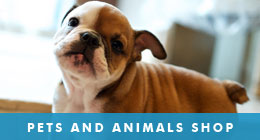 Pets and Animals Shop