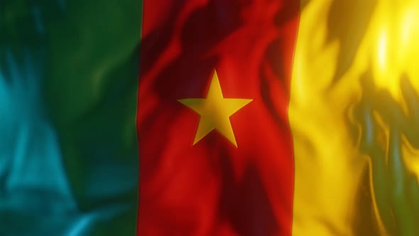 Cameroon Flag with Edge Bump