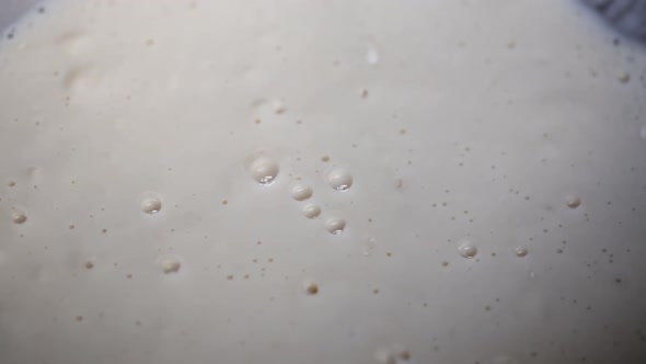 Yeast in the dough produces air bubbles