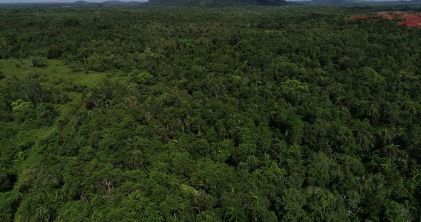 Cinematic Aerial view of green valley in Gunung Bintan, Indonesia.