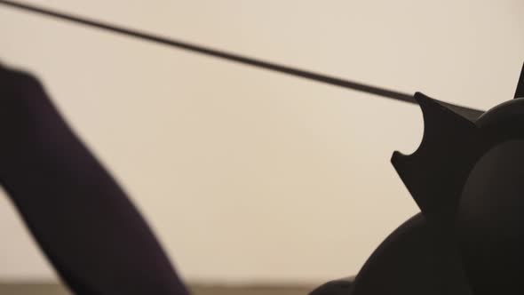 Rowing Exercise from Rowing Machine alt