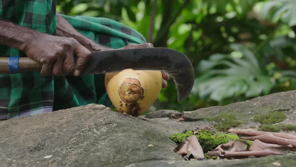 South Asian Cutting A King Coconut