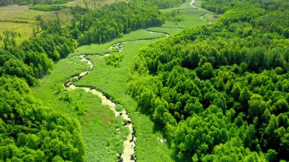 Green algae on river. Aerial view of spring wildlife, Poland alt