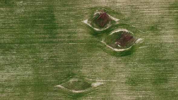 Aerial View on Green Wheat Field with Power Pylons in Countryside alt
