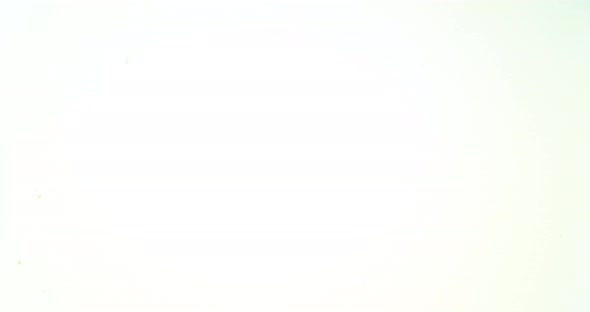 Blood Dripping against White Background, Slow Motion 4K alt