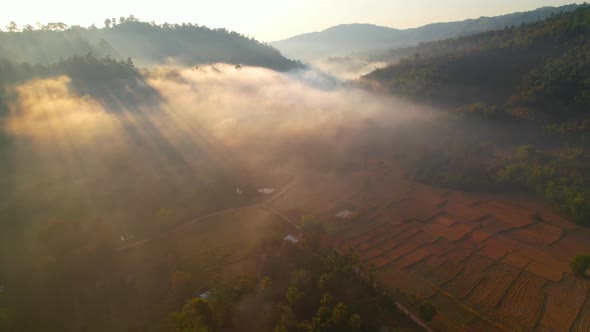 Aerial view of farmers farmland in dry season. beautiful scenery in the morning alt