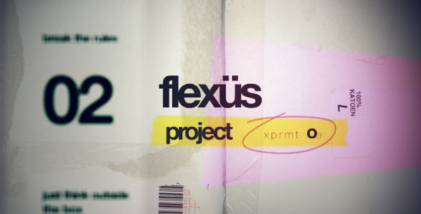 Flexus - VideoHive 6161248