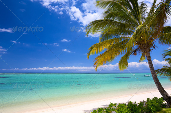 Beautiful tropical beach - Stock Photo - Images