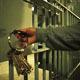 Women&#39;s Jail Cell Door Open and Close with Keys - VideoHive Item for Sale