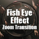 Fish Eyes Effect Zoom Transition - VideoHive Item for Sale