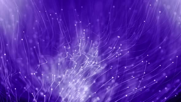 Abstract Particle Lights Violet 02