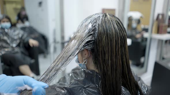 Hairdresser Applies Dye on Customer's Wet Hair for Coloring alt