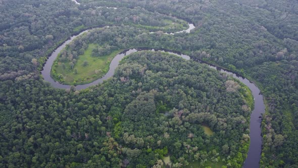 Aerial View Over the River Which is on the Green Forest alt