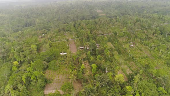 Farmlands and Village Bali, Indonesia alt