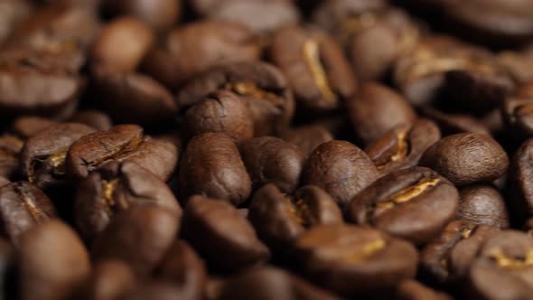 Roasted Coffee Beans alt