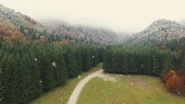 First Snow-Aerial Winter