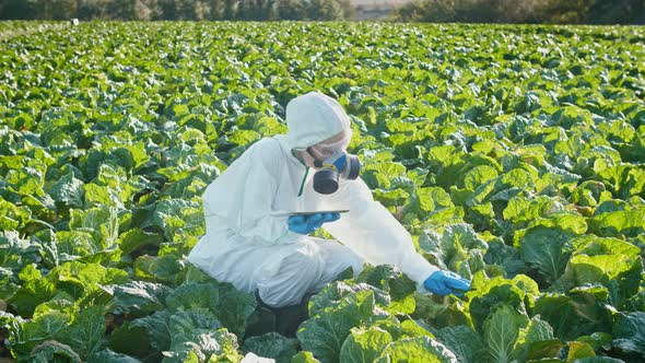 A FemaleFarmer Agronomist in a Protective Suit with a Respirator on herFace uses Modern Technologies alt