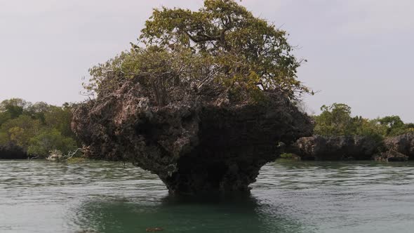 Lagoon at Kwale Island in Menai Bay Mangroves with Reefs and Rocks Zanzibar alt