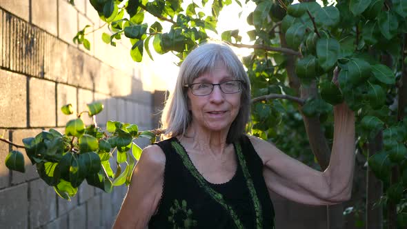 An elderly woman smiling with joy clipping branches and pruning a pear fruit tree in her orchard gar alt
