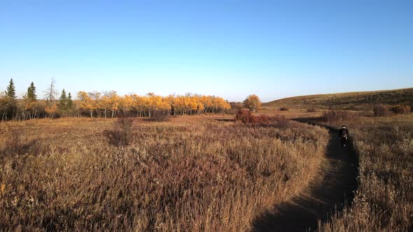 Drone showing a walker walking in the countryside in fall season. Ocher colors in Central Alberta du alt
