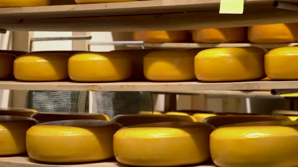 Industrial Production of Cheeses Cheese Storage