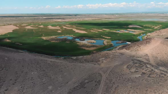 Drone Footage Over Lakes in the Desert Showing Diversity of Plants