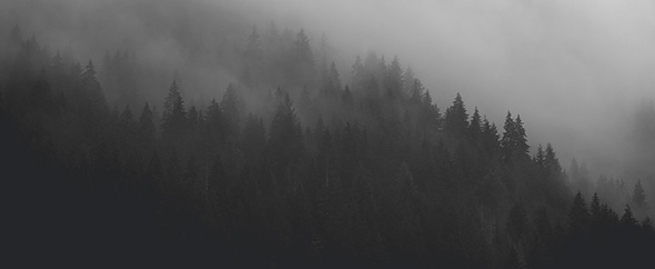 Evanto header