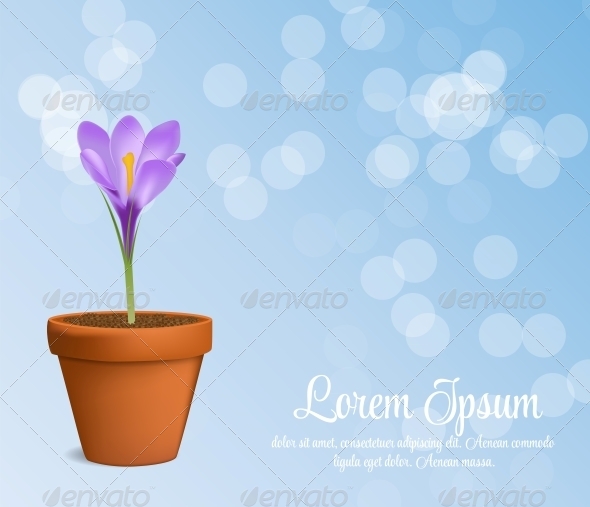Vector Illustration of Crocus Flower - Flowers & Plants Nature