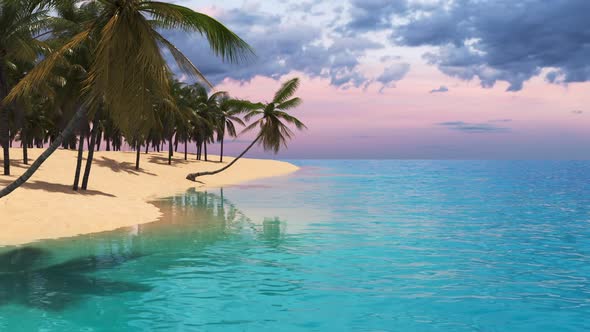 Travel on a tropical island with palm trees in the sea. Landscape beach with palm trees and ocean.