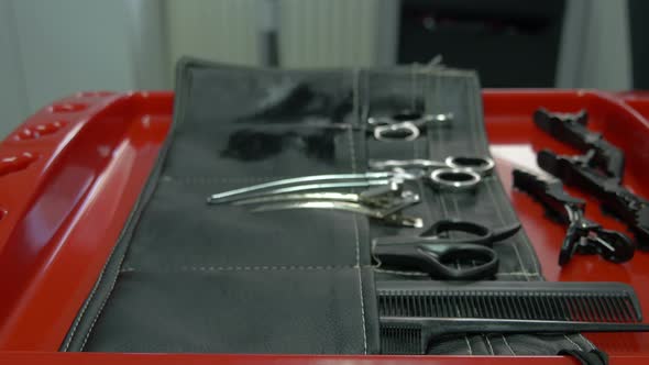 Zoom in of a hairstyle kit alt