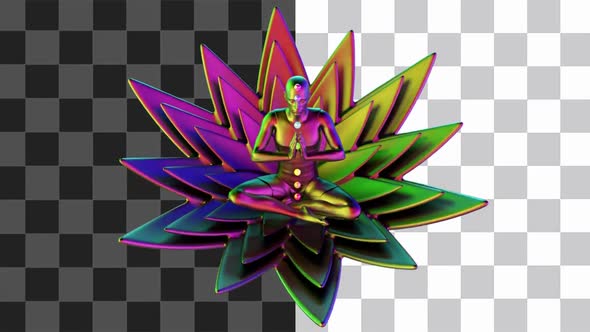 Meditation In Lotus Pose Looped alt