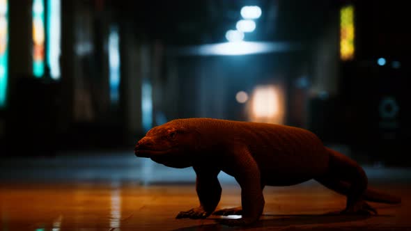 Comodo Dragon in Underground Metro Station alt