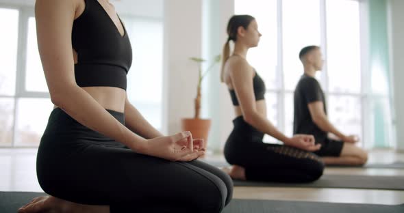 Young Diversity Sporty People Practicing Yoga Lesson with Instructor Lotus Pose alt
