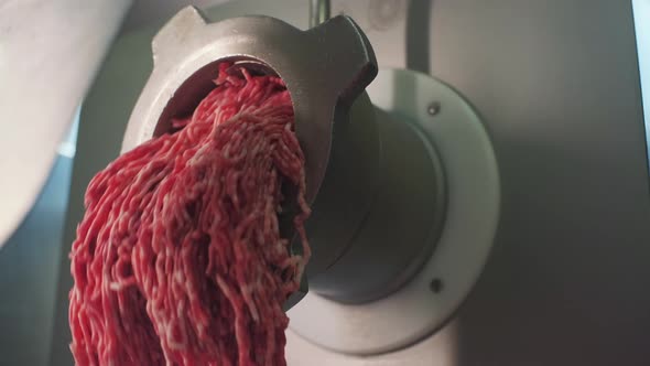 A metal meat grinder alt