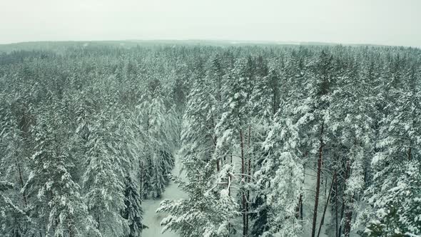 Aerial view of a frozen forest with snow covered trees at winter