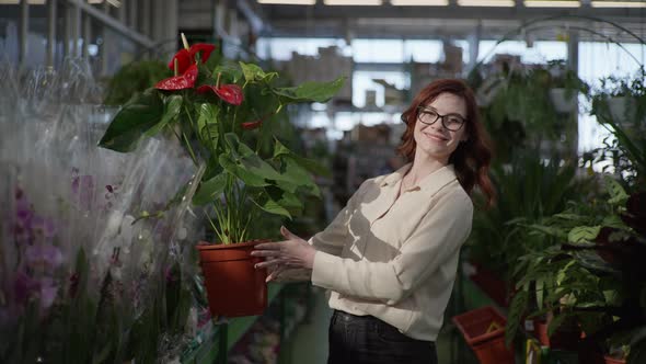 Beautiful Girl with Glasses Chooses Decorative Plants for Apartment in Greenhouse of Flowering Store alt