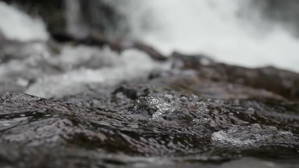 A slow motion macro shot of water flowing with Lucia falls looming in the background in Vancouver, W alt