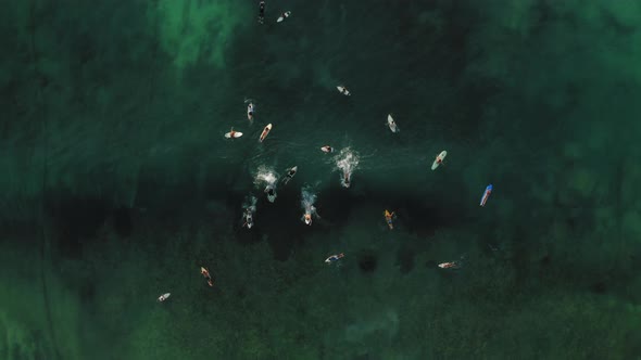 Top Down Drone View at Surfers at the Ocean Bali Indonesia alt