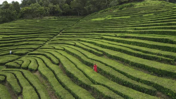 Aerial View of woman in the maze of flower beds along the hill, Sao Bras. alt