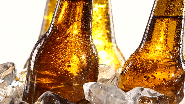 Festival of Beer Capacity Are Bottles of Beer in the Ice, White Background alt