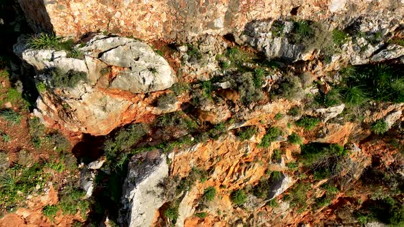 Goats Walk Along the Mountain Slope Aerial View 4 K Alanya Turkey alt