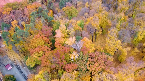 Aerial railway station in yellow autumn forest