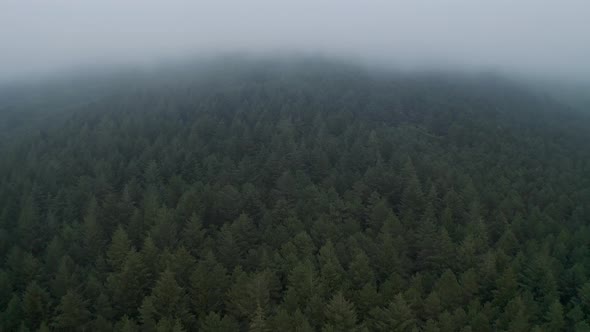 Aerial view of forest with fog in Italy. Nature background footage in 4K