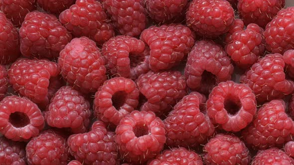 Fresh Raspberry Close-up Rotating.