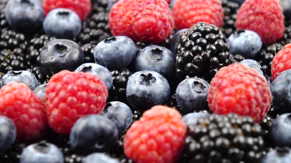 Ripe raw berries of raspberry, blackberry and bog whortleberry, background alt